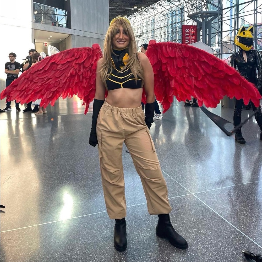 Red Retractable Wings